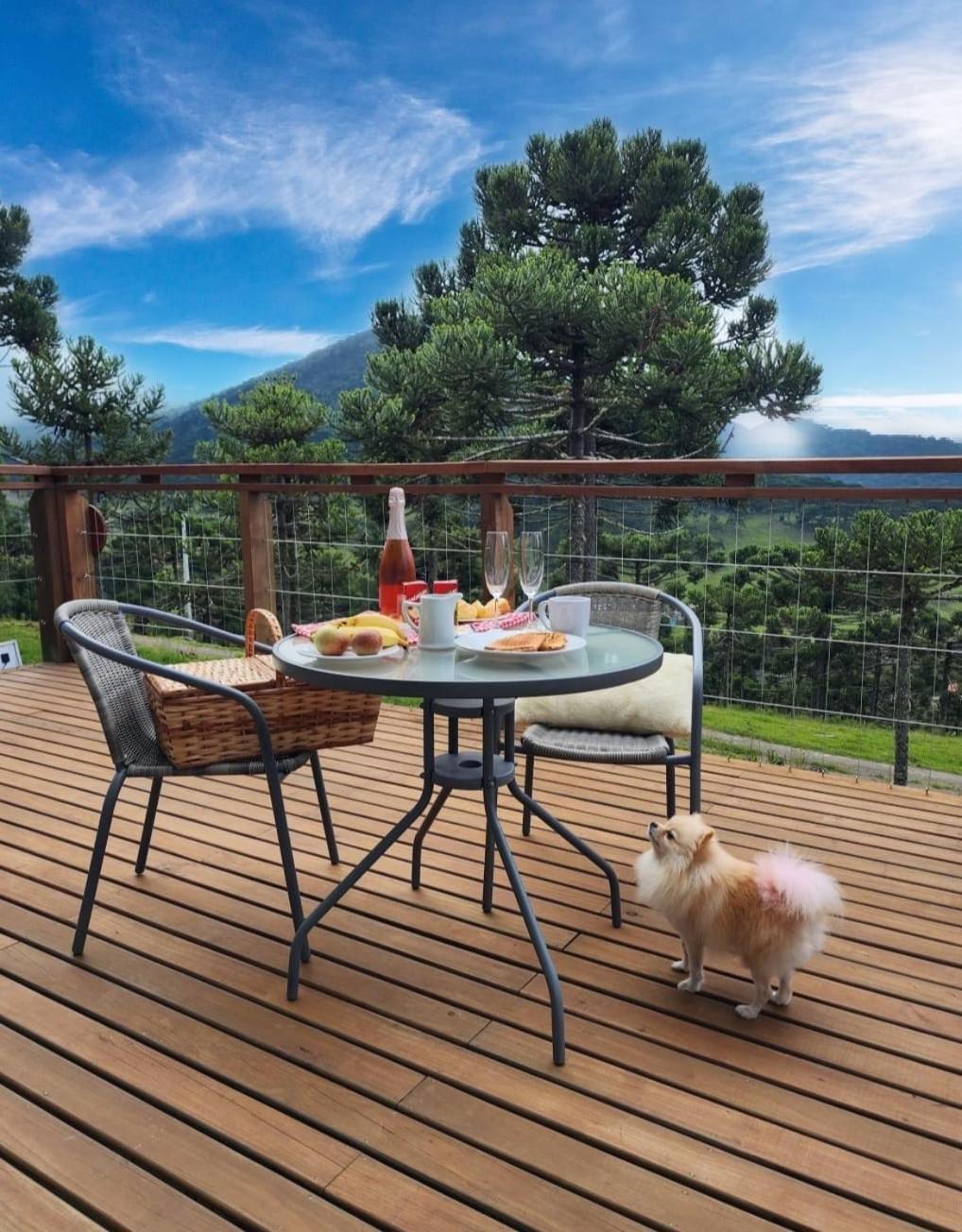 Altitude Maxima - Cabanas De Altitude 乌鲁比西 外观 照片